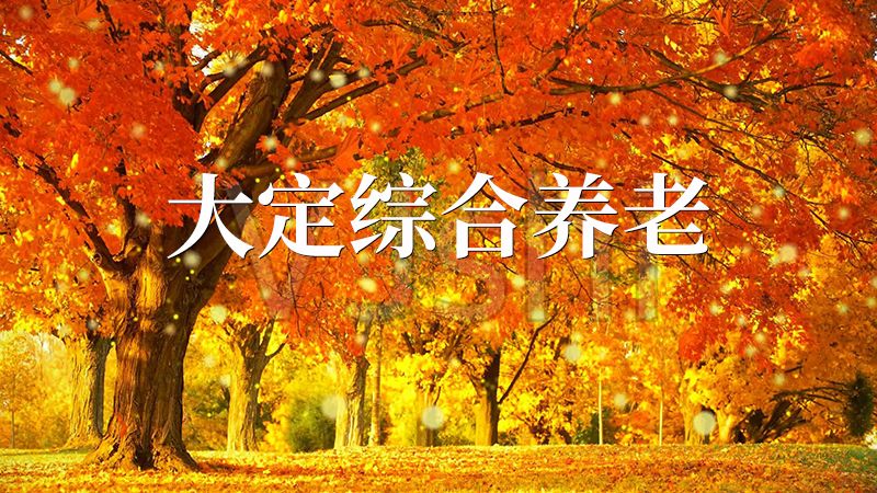 大定綜合養老
